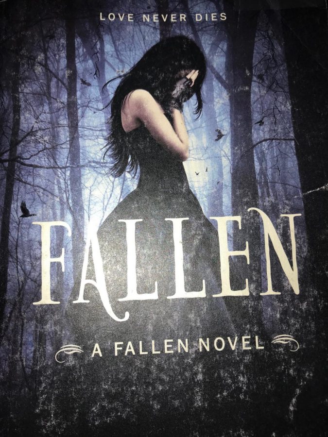 Fallen Book Cover. Photo taken by Jimena Prado