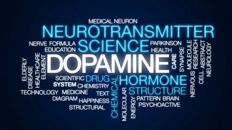 Dopamine Fasting